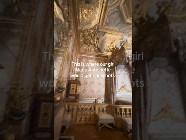 then poses would be lethal #history #shorts #marieantoinette #arthistory