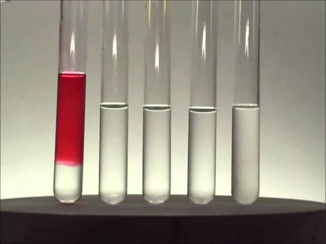 Chemistry experiment 25 - Red cabbage pH indicator