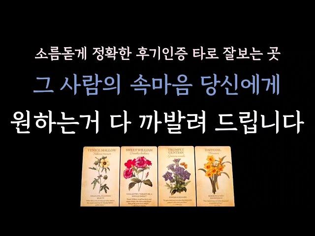 [다복 타로] 소름돋게 정확한 후기인증 타로 잘보는 곳 그 사람의 속마음 당신에게 원하는거 다 까발려 드립니다