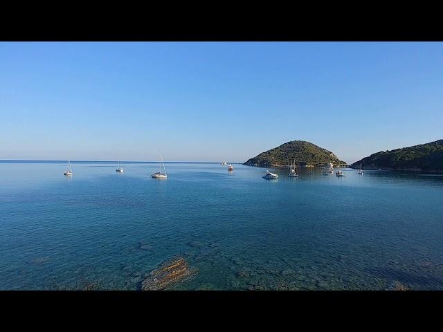 ISOLA D'ELBA: ENFOLA