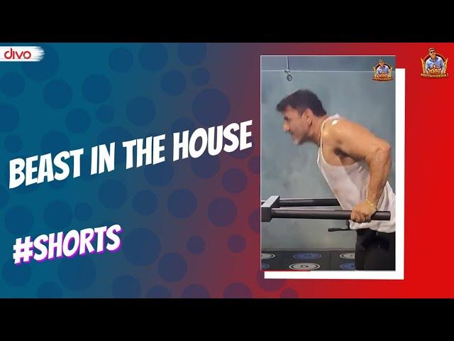 Beast in The House | King Prithiveeraj #shorts