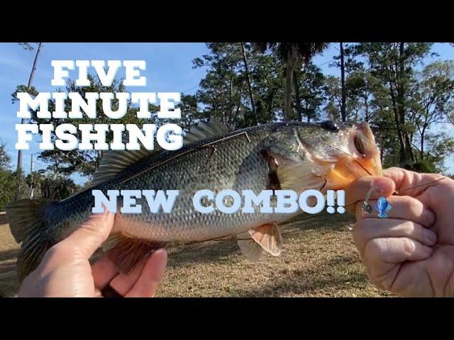 Lew’s LZR PRO Speed Stick!! Budget SPINNING COMBO Review from Walmart!