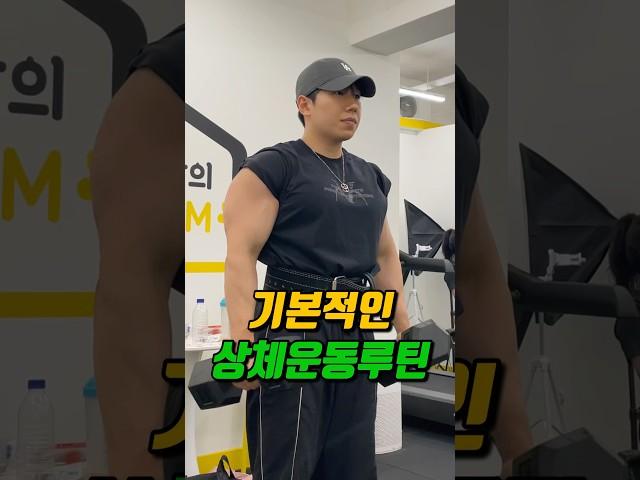 쉽게 따라하기 좋은 기본적인 상체운동루틴!!