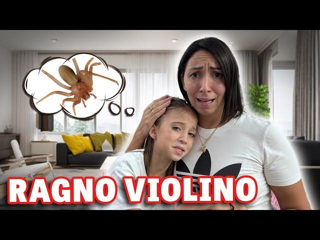 FIGLIACHIARA E' STATA PUNTA DAL RAGNO VIOLINO? ANDIAMO A FARE UN CONTROLLO...