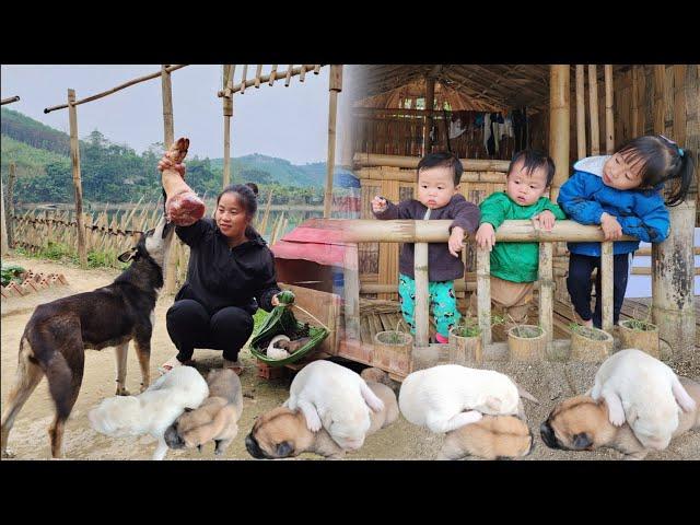 full video: work and luck in life in the first days of the new year of a single mother