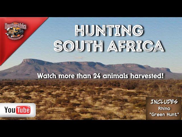 South African Hunting- Plainsgame & Big game Safari