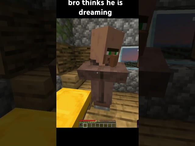 "villager dreaming"