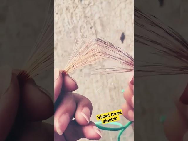 Vishal Arora electric