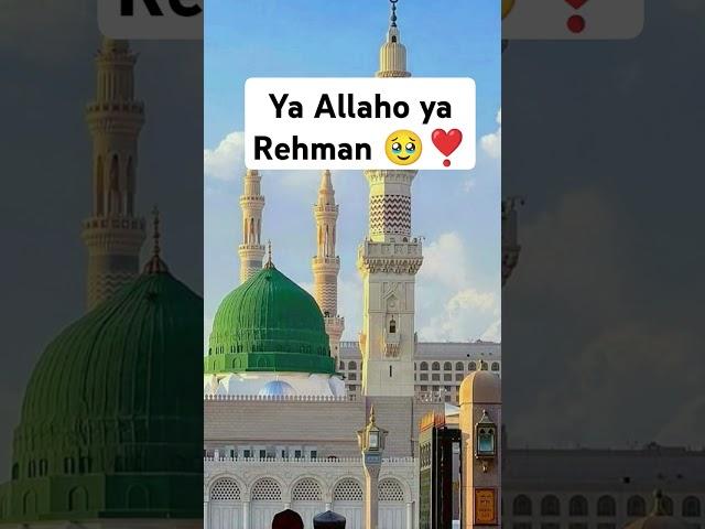 Ya Allaho ya Rehman ️#trending  #muhammad #madina #viralvideos #shorts #freepalestine