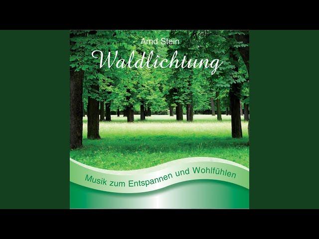 Waldlichtung