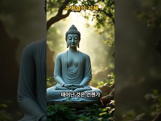 부처님의 지혜의 말씀2 #부처 #불경 #석가모니