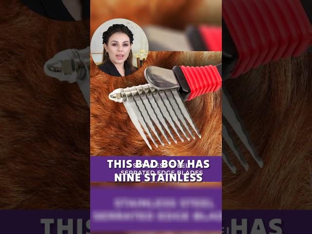 Tame the Tangles! Paw Brothers Dematting Tool Review