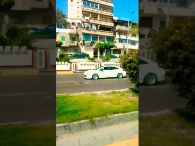 اسكندريه ️