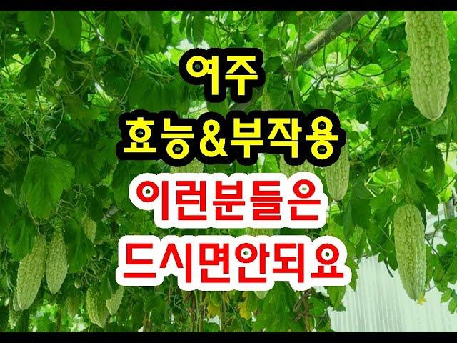 여주효능과 부작용 잘 알고 드세요~