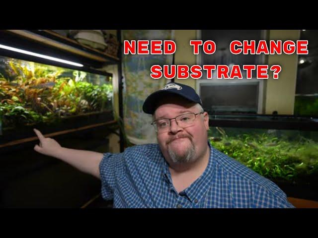Do You Need To Change Your Substrate?