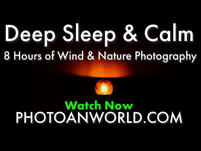 8 Hours Deep Sleep Wind Sounds & Nature Photography: Relaxing Wind Ambience for Rest & Focus