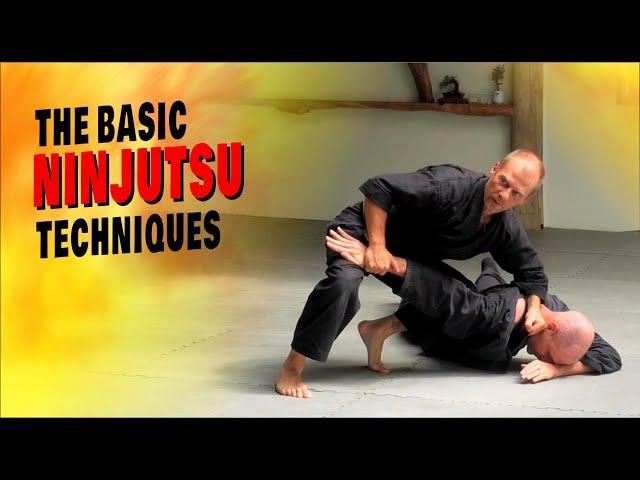 The Ninjutsu Basic Techniques