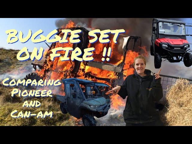 Buggie set on fire ! Got another buggie.....I compared the Honda pioneer and a  can-am