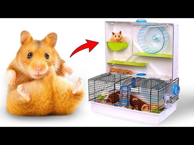 A Lot Of Fun For Your Hamsters: Unboxing Critterville Arcade Hamster Home!