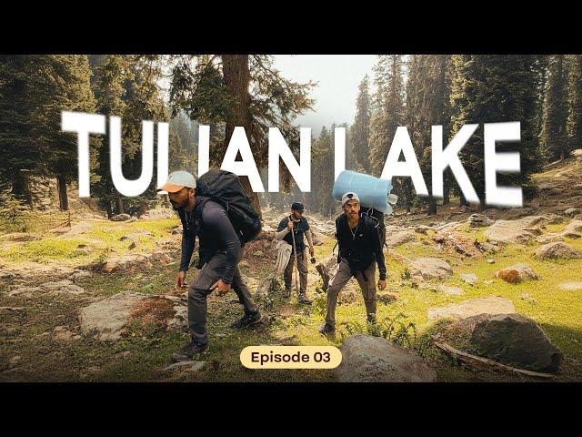 Journey Through Kashmir's Stunning Landscapes at Tulian Lake Trek | Twin Trails