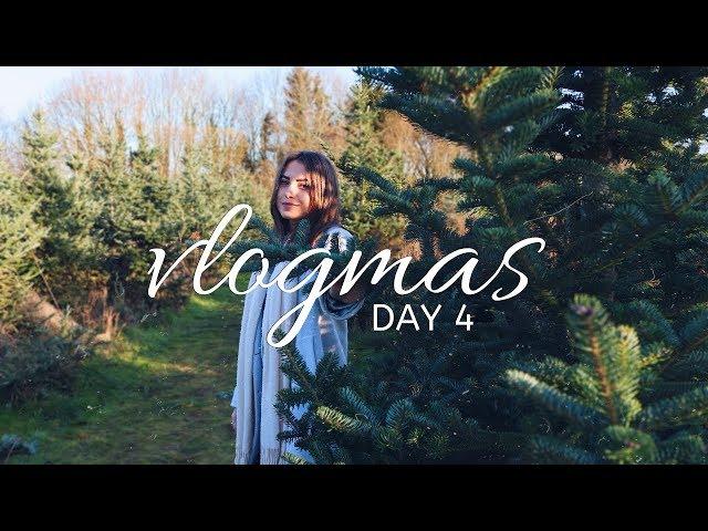 CUTTING OUR OWN CHRISTMAS TREE & RIVER ISLAND PARTY | VLOGMAS DAY 4