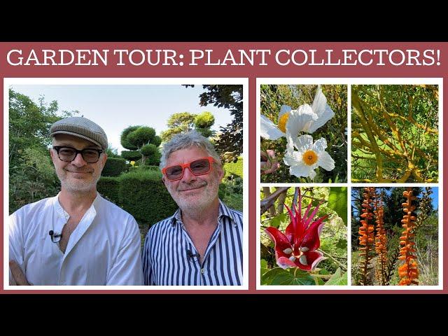 Garden Tour: A plant collectors wild garden!