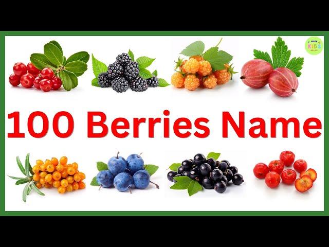 100 Berries Name | All types of Berries Name Vocabulary | Berries name in English #fruits #berries