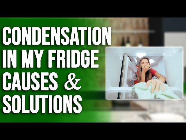 There Is Condensation in My Fridge – Reasons and Quick Solutions