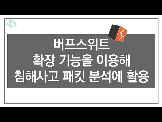 버프스위트 확장 기능을 이용해 침해사고 패킷 분석에 활용