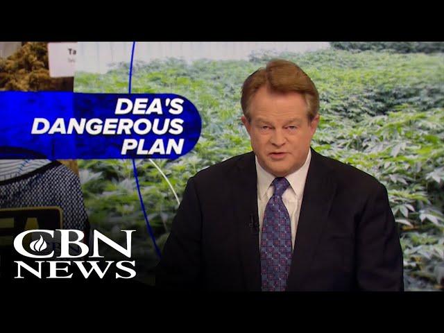 Dangers of Marijuana | News on The 700 Club: November 21, 2024