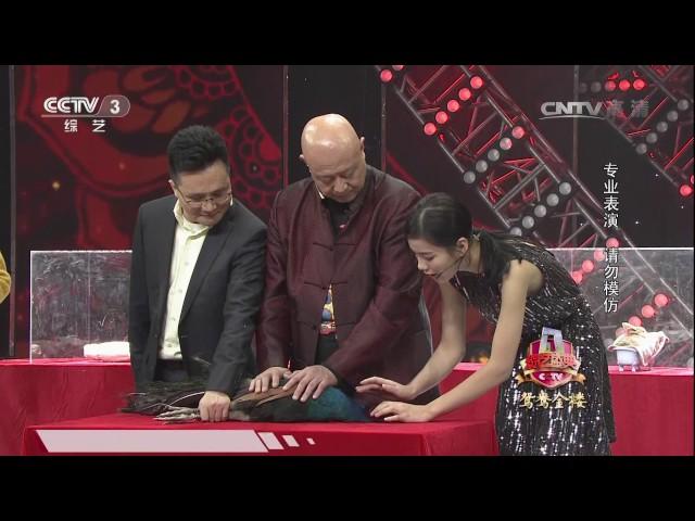 [综艺盛典] 20170105《催眠表演》 表演：王云辉 | CCTV春晚