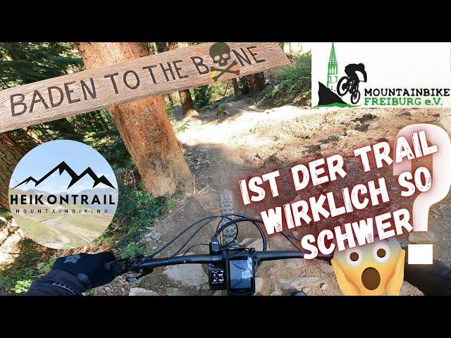 Baden to the Bone Trail in Freiburg | Nur für erfahrene Mountainbiker ? | mtb Freiburg e.V.