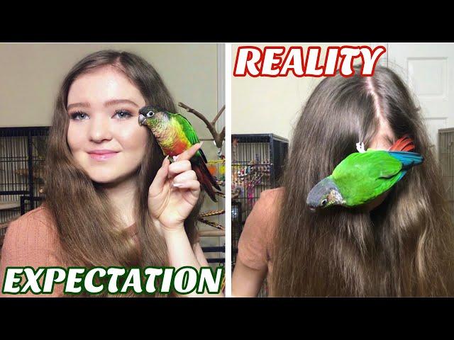 Expectations vs. Reality of Owning BIRDS!!