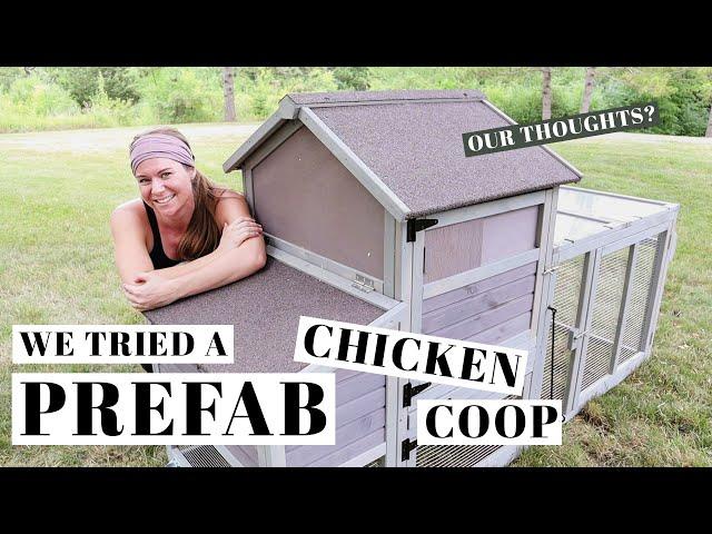 Trying a PREFAB CHICKEN COOP | Small Backyard Flock Housing | Aivituvin Review | Poultry Tractor Run