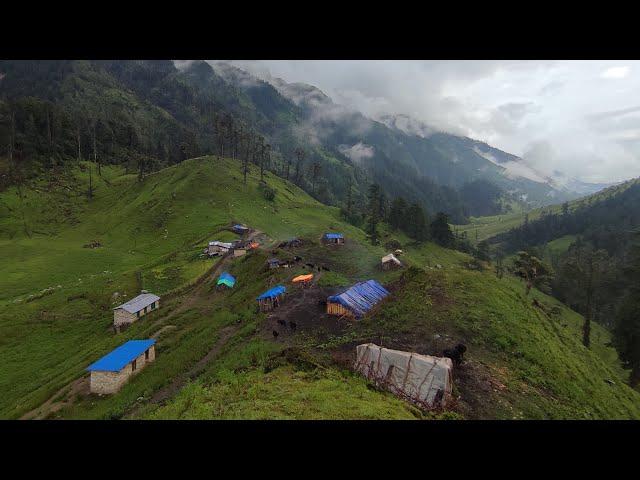 Naturally Most peaceful Nepali Village Life | Organic Village Life of Nepali | VillageLifeNepal