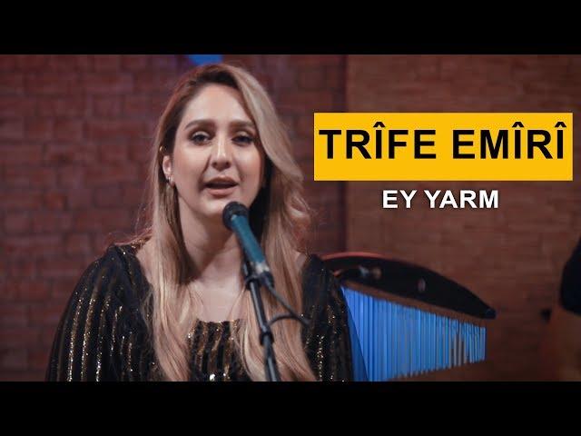 Trîfe Emîrî - Ey Yarm (Kurdmax Acoustic)