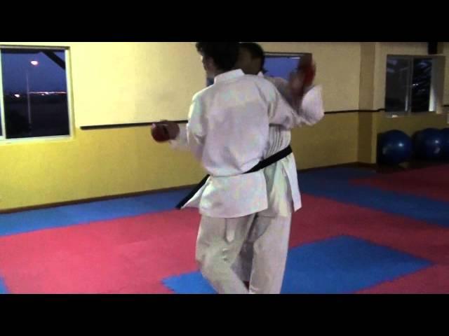 Karate Kumite Takedown