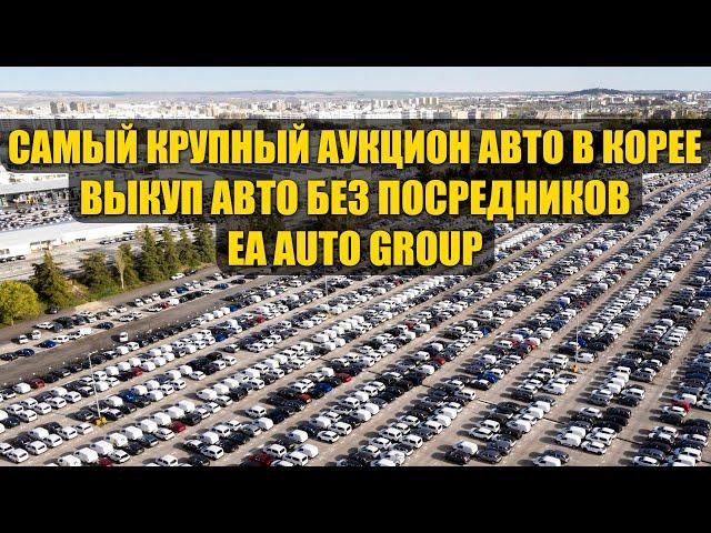 [СТРИМ] Обзор авторынка с закрытого аукциона Кореи. Выкуп авто без посредников. Самые низкие цены.