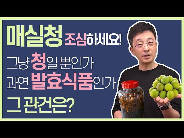 Plum syrup, is this just syrup or fermented food?