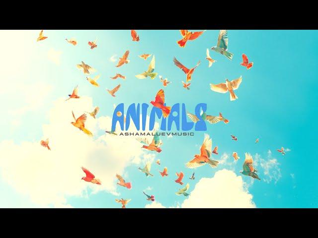 Happy, Uplifting and Cheerful Music | Animals - by AShamaluevMusic