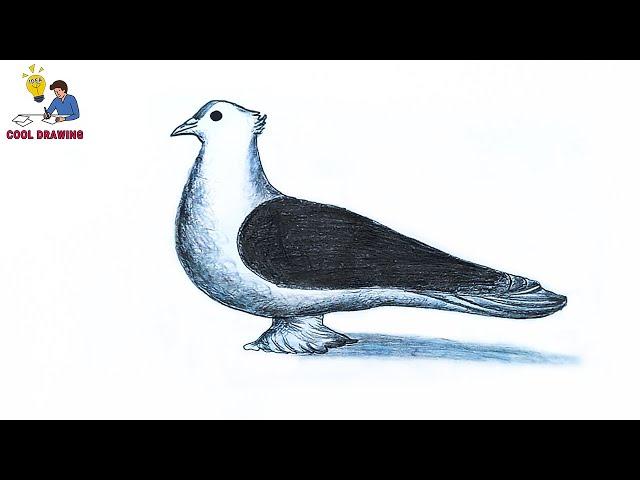 Pigeon Drawing Tutorial | How to draw Pigeon easy | How to draw a bird | Drawing birds | Draw Pigeon