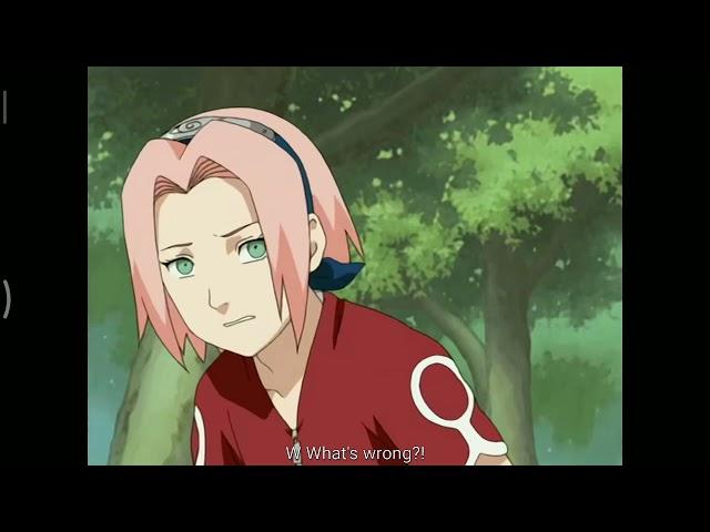 Sakura Uses Same Shampoo As Pakkun [Eng Dub]