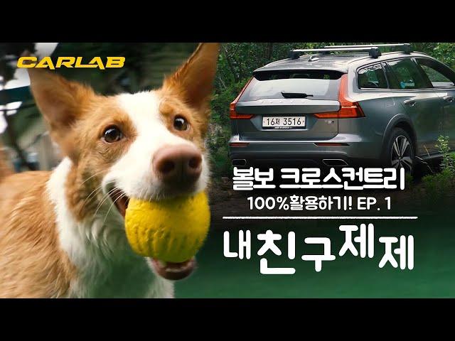 볼보 크로스컨트리 100% 활용기1탄 - 내 친구 제제 [카랩/CARLAB]