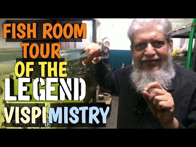 Fish Room Tour of The Legend Mr. Vispi Mistry | Fish Hatchery | Discus & Angels Fishes | Discus