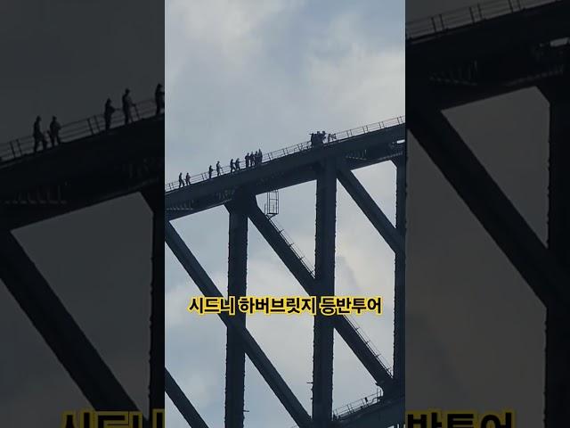 하버브릿지를 등반하는데 3시간 정도 걸리고 비용은 30만원이 조금 넘네요.  #하버브릿지