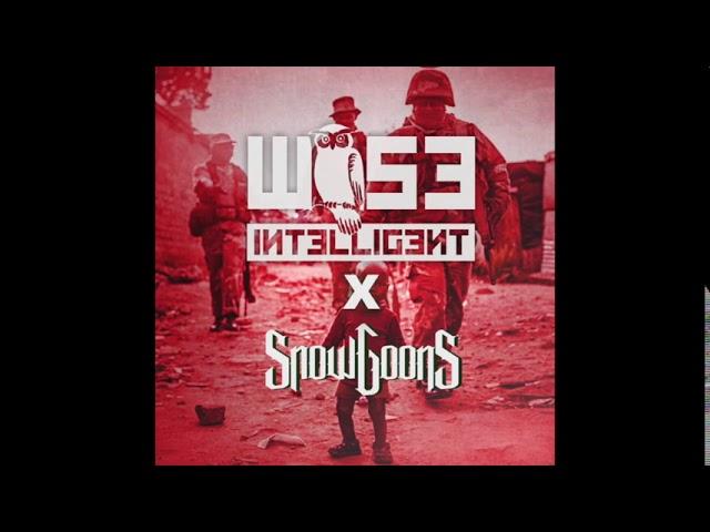 Wise Intelligent X Snowgoons - Possibly? (Produced by DJ Sixkay)