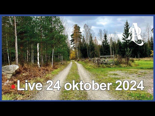  Live med Anders på landet 24 oktober 2024