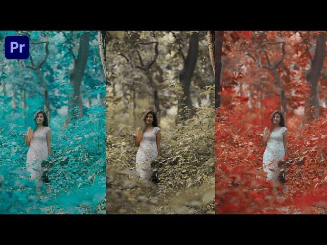 Get Hollywood Film Look Color Grading || 3 STEPS || In Premiere Pro CC