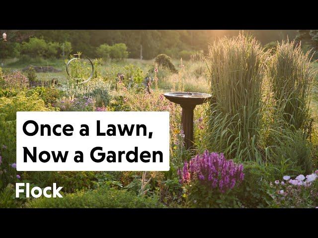 BORING LAWN Turned to BEAUTIFUL WILDLIFE, HERB & POLLINATOR GARDENS — Ep. 183