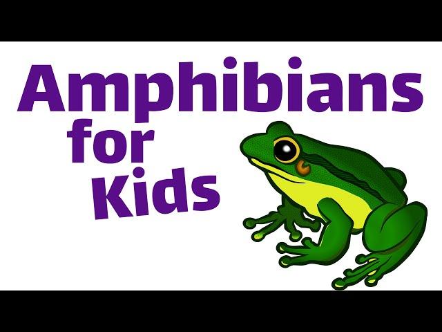 Amphibians For Kids